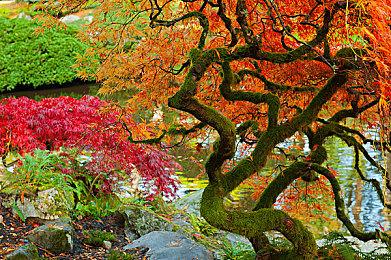 黑暗奇幻第一人称射击游戏《巫火》现已结束Epic独占并在Steam平台推出抢先体验版