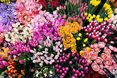 PS+港服九月会免游戏公布 《杀手2》等